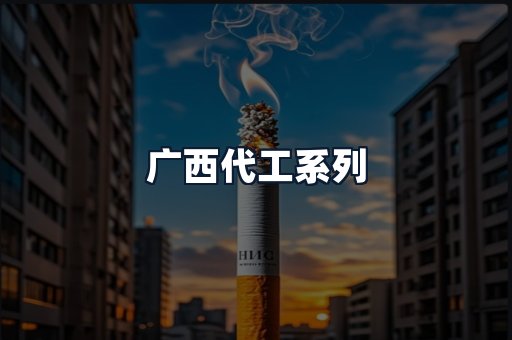 广西代工系列
